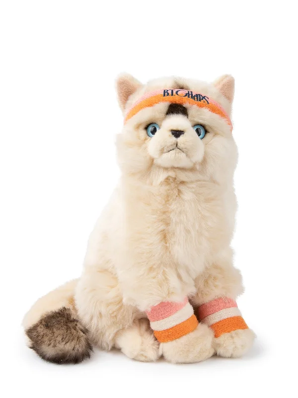 Fluffy and warm toy companionsBT Chaps Dolly the Ragdoll