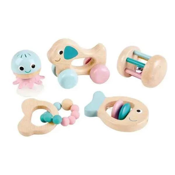 sustainably sourced wooden toys                   Hape Wooden Multi-Stage Sensory 5 PCs Gift Set